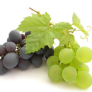 Grape Processing