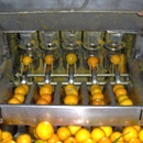 Citrus Extractor