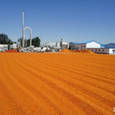 TOMATO POMACE